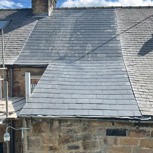 Recent roof project